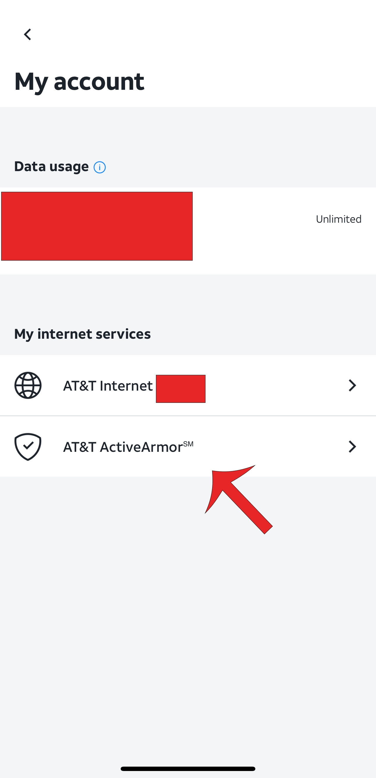Step 3 – Your Internet Service